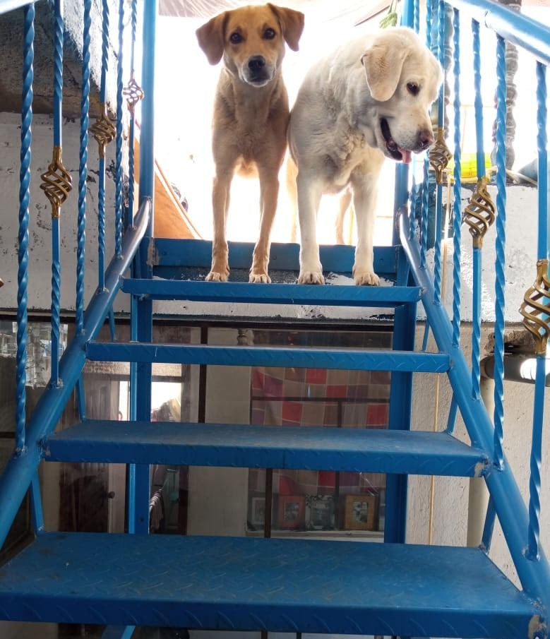 Escaleras metálicas Sangolquí